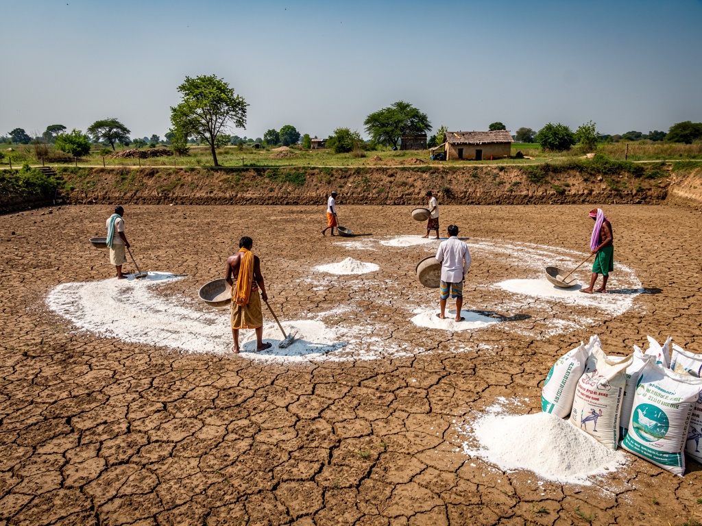 Workers spreading lime on a dried pond bottom