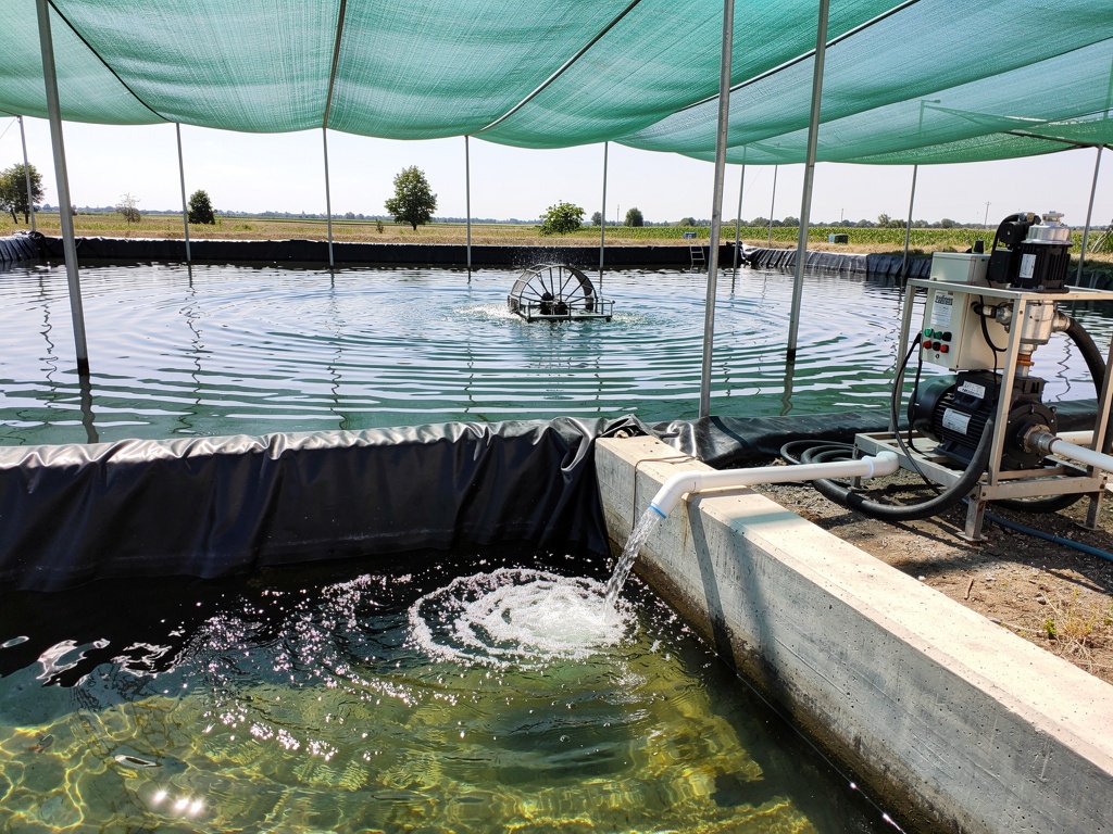 Water reservoir with net cover and pump at a shrimp farm